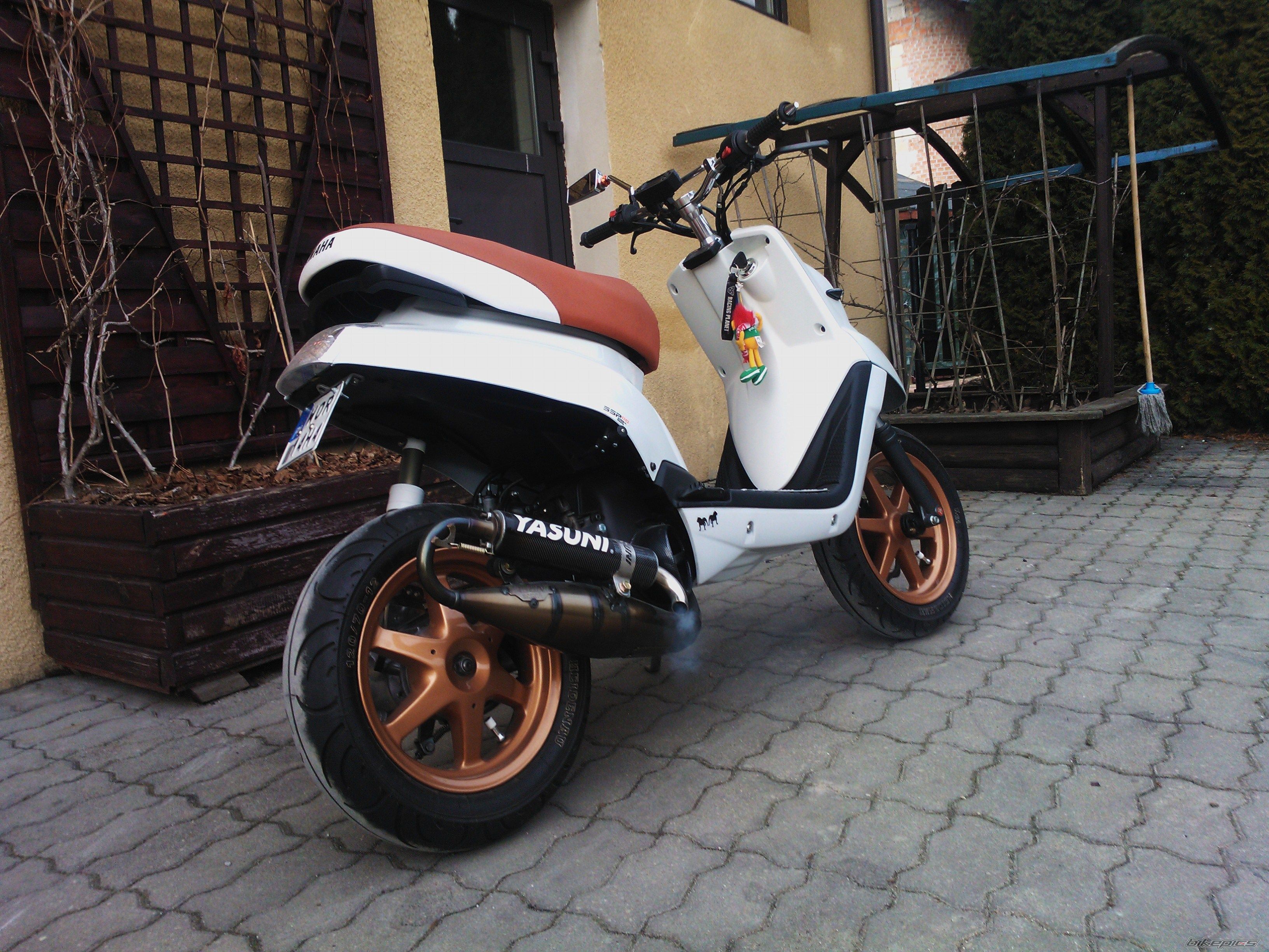 Photo 2525019
