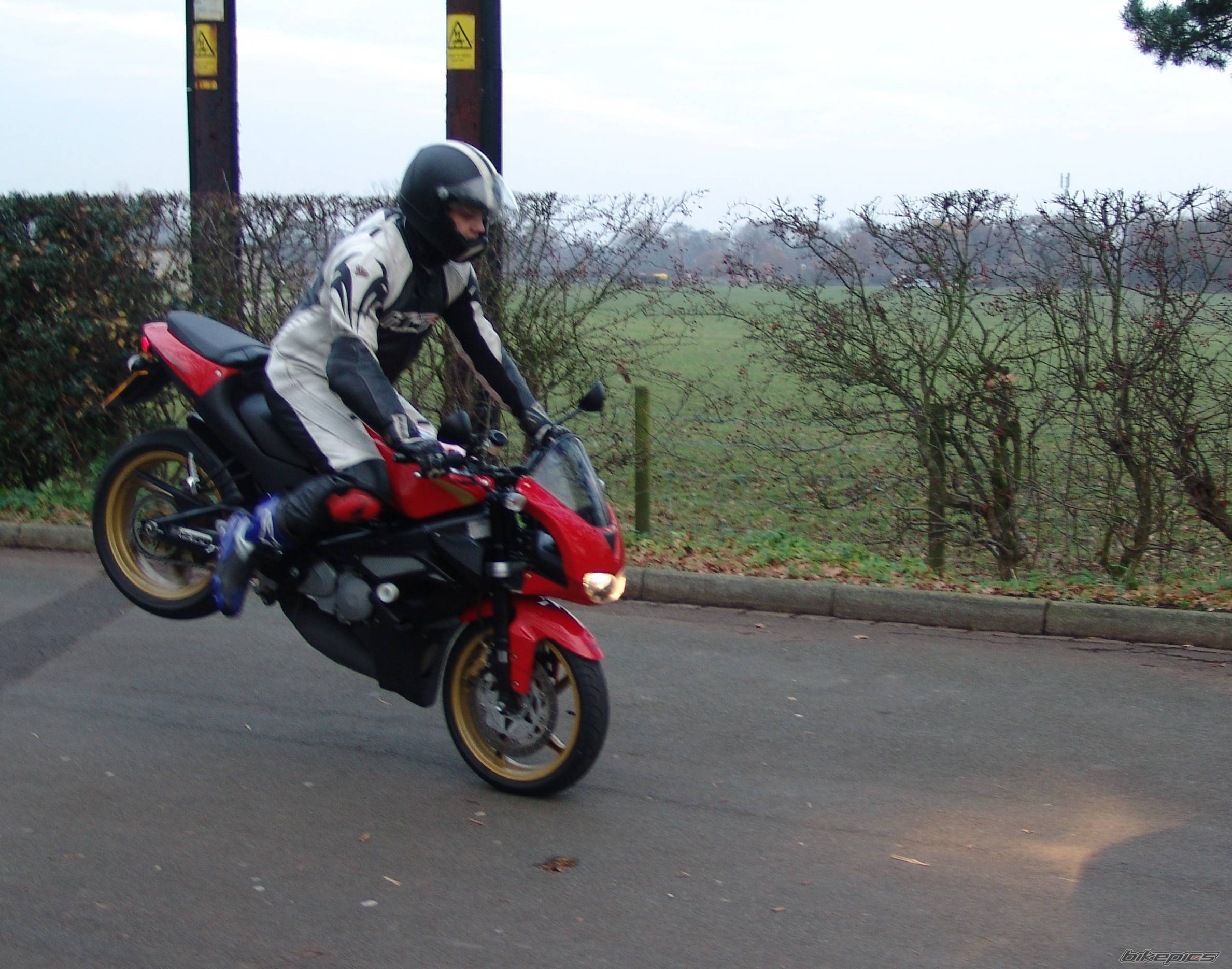 Photo 252503