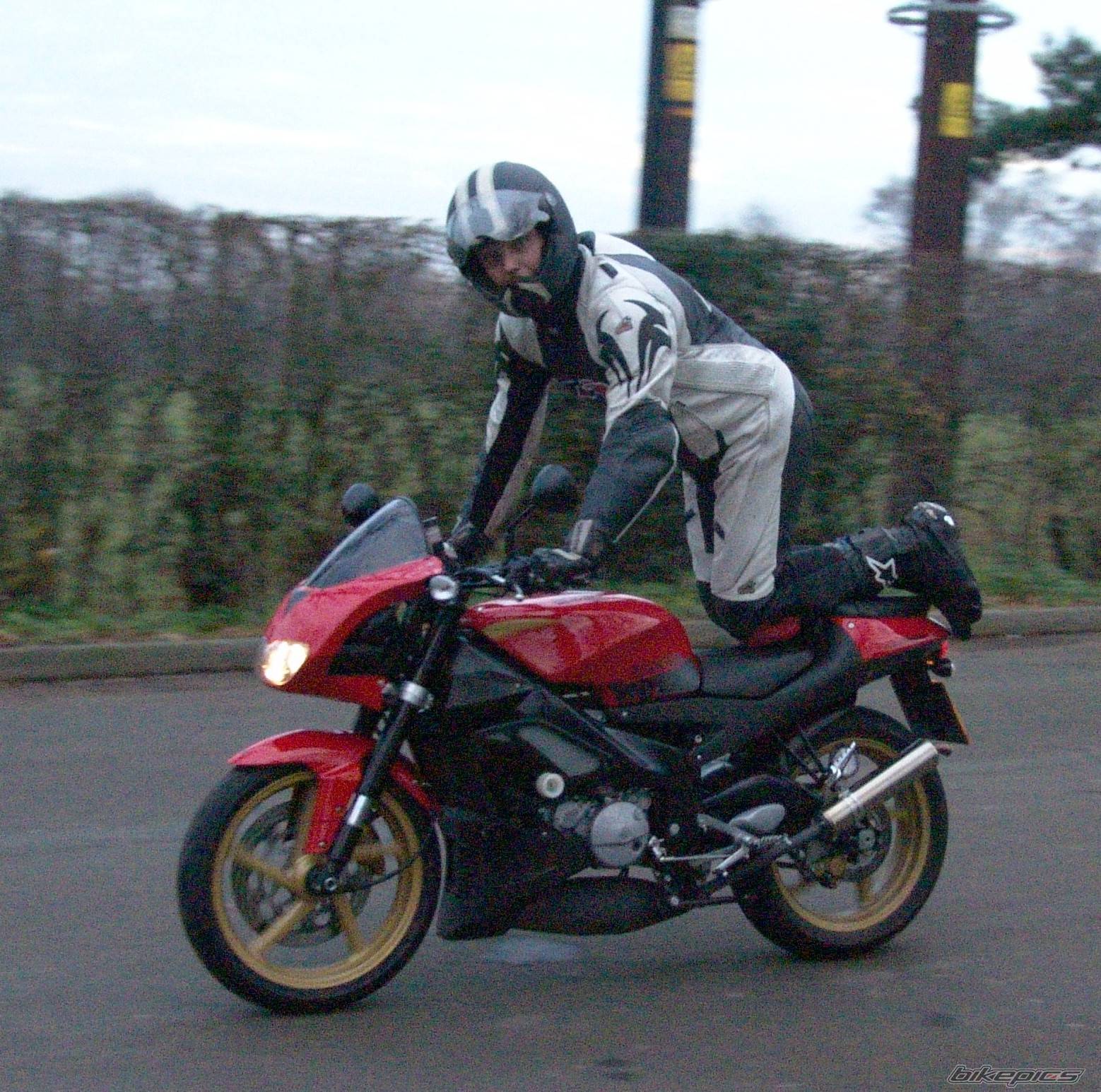Photo 252506