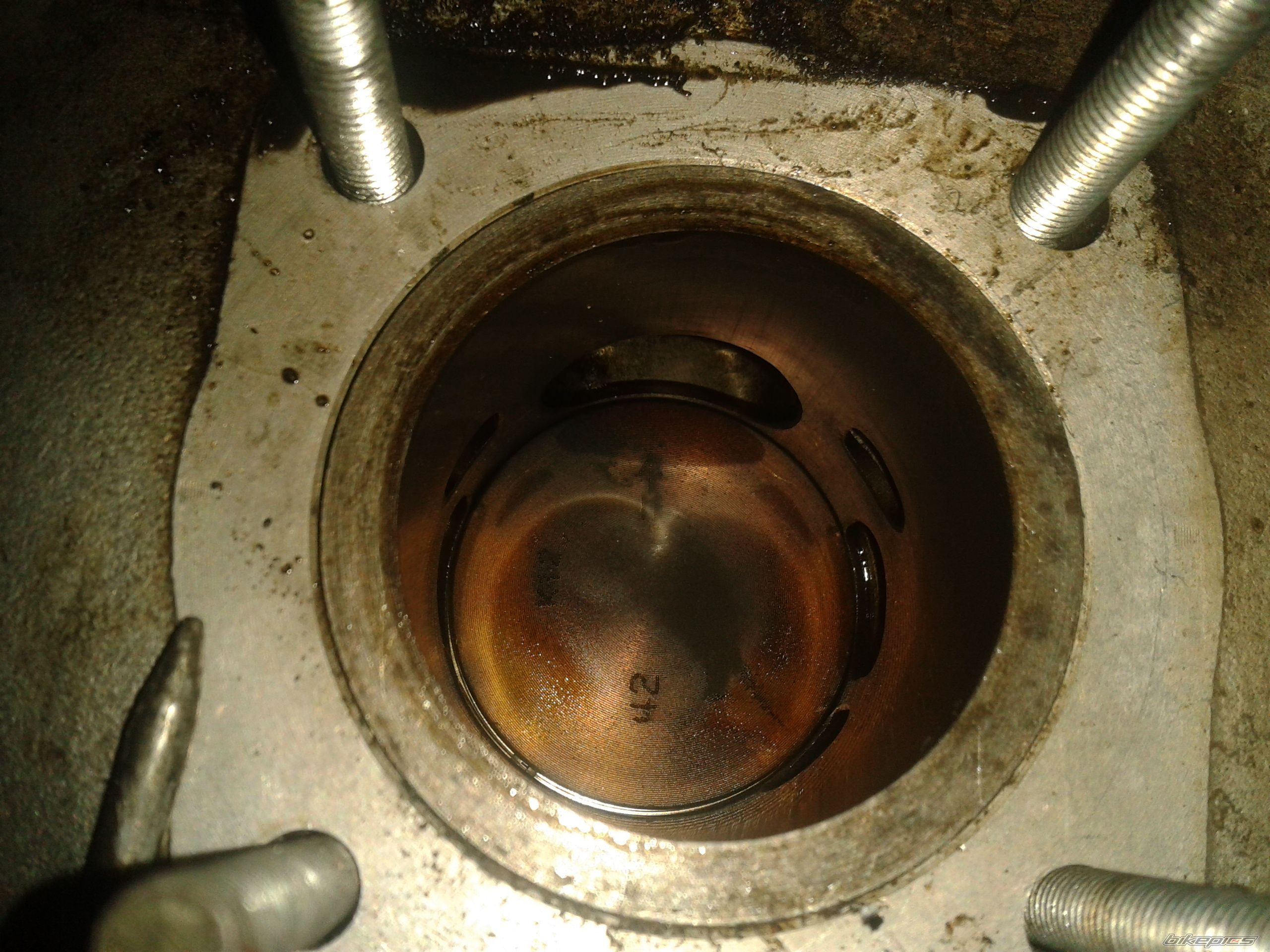 Photo 2525120