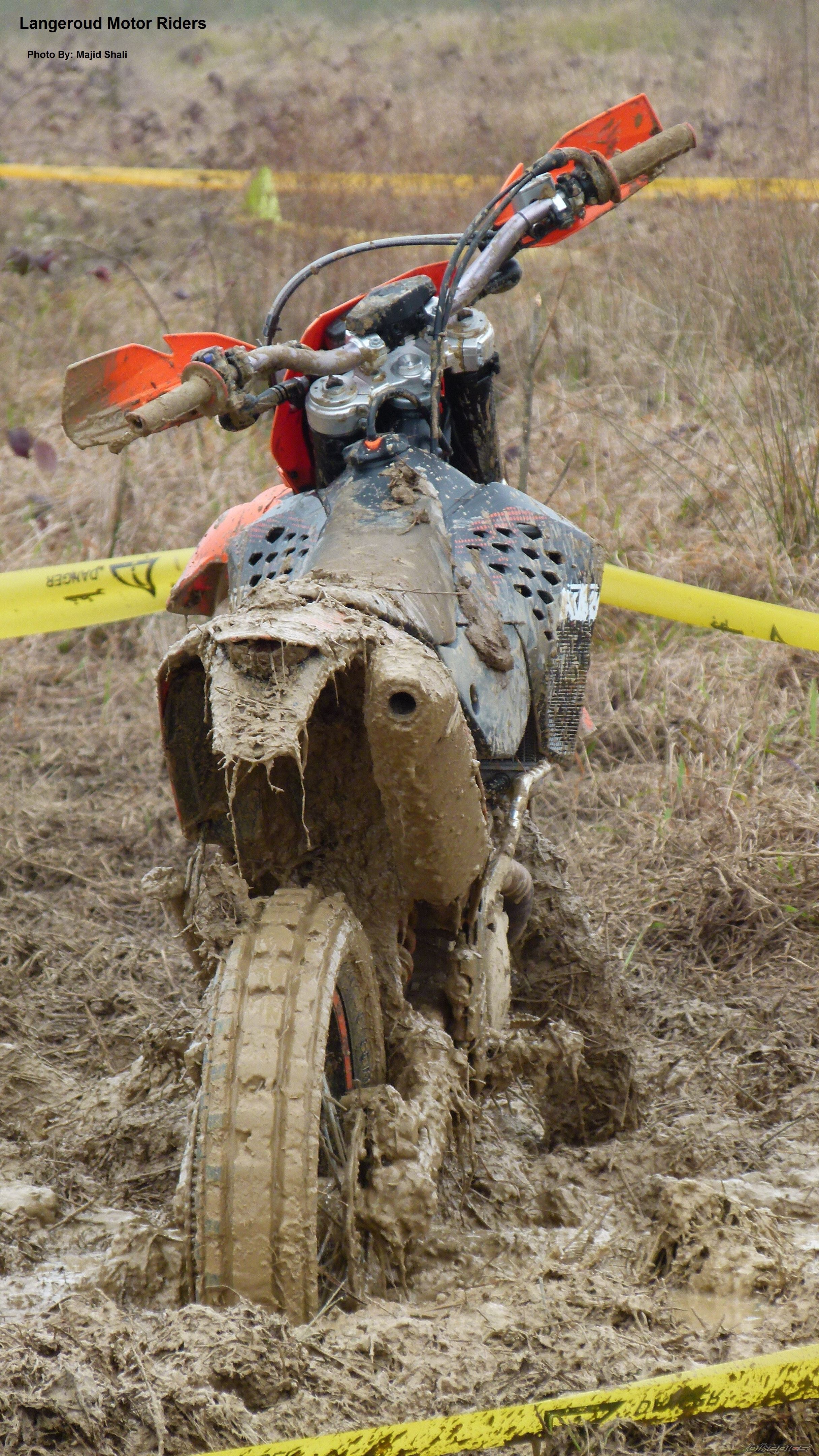 Photo 2525184