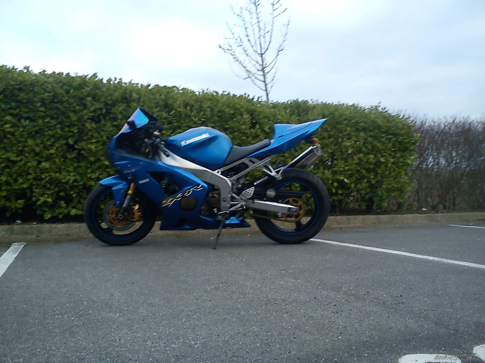 Photo 2525344