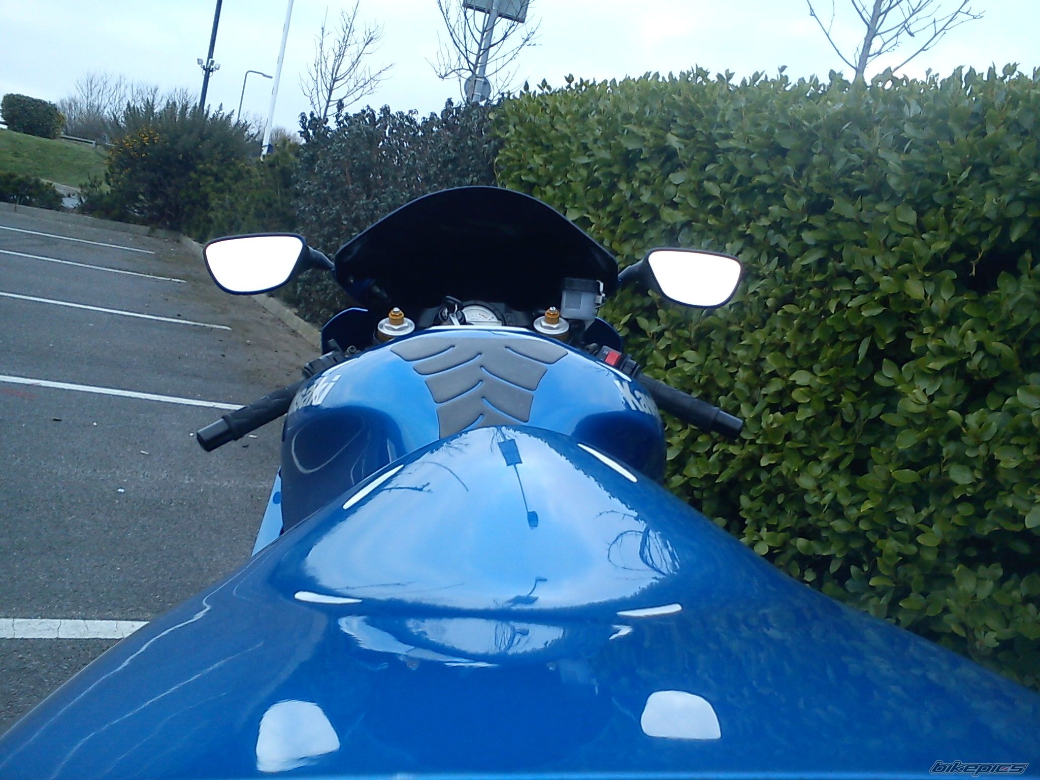 Photo 2525349