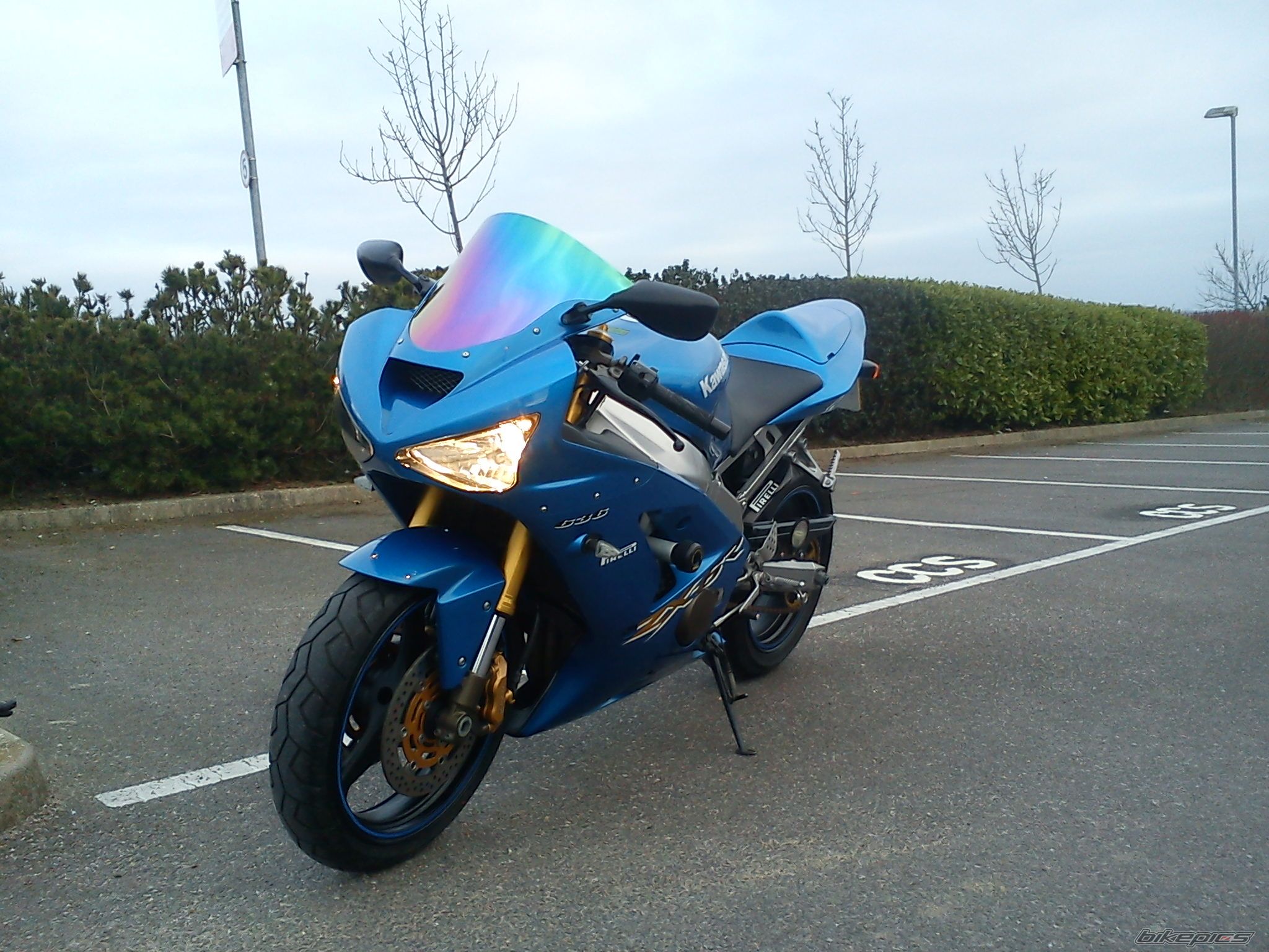 Photo 2525383