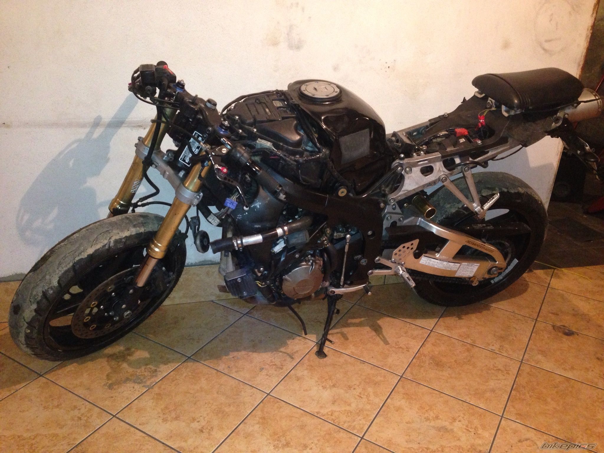 Photo 2525398