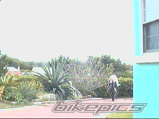 Photo 25254
