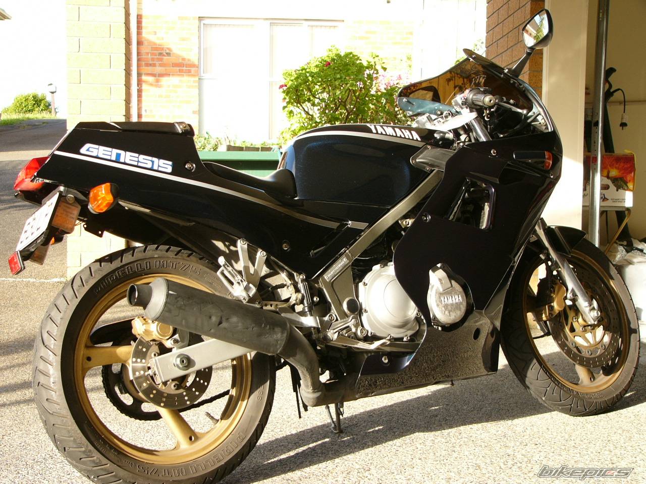 Bike Photo 252547