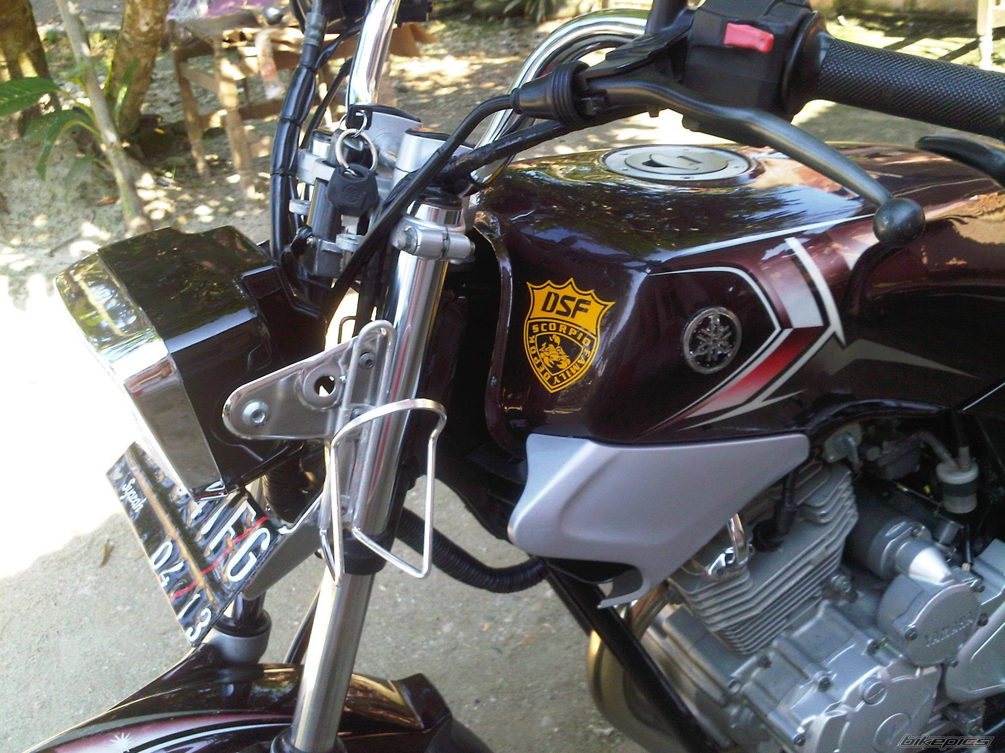 Photo 2525546
