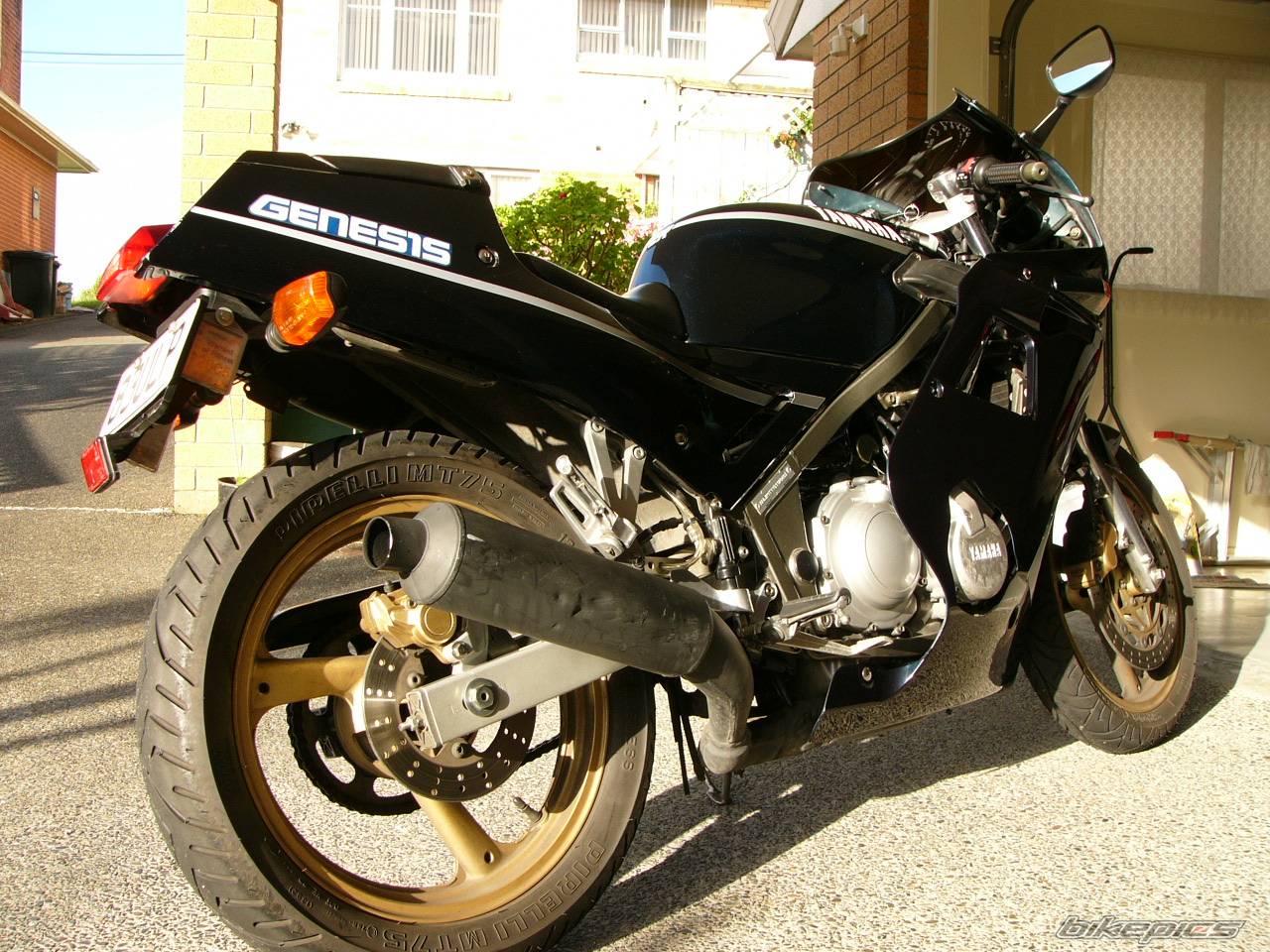 Bike Photo 252566