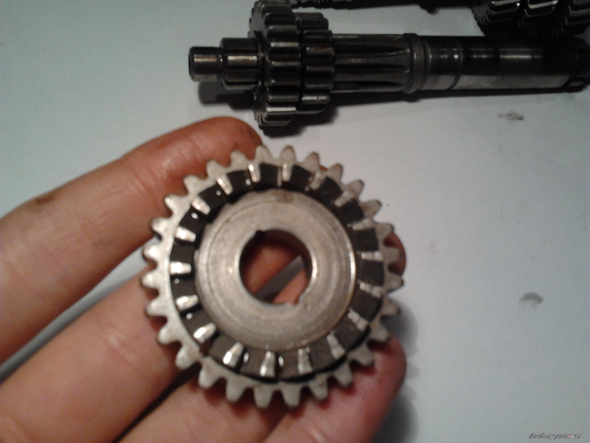 Photo 2525737