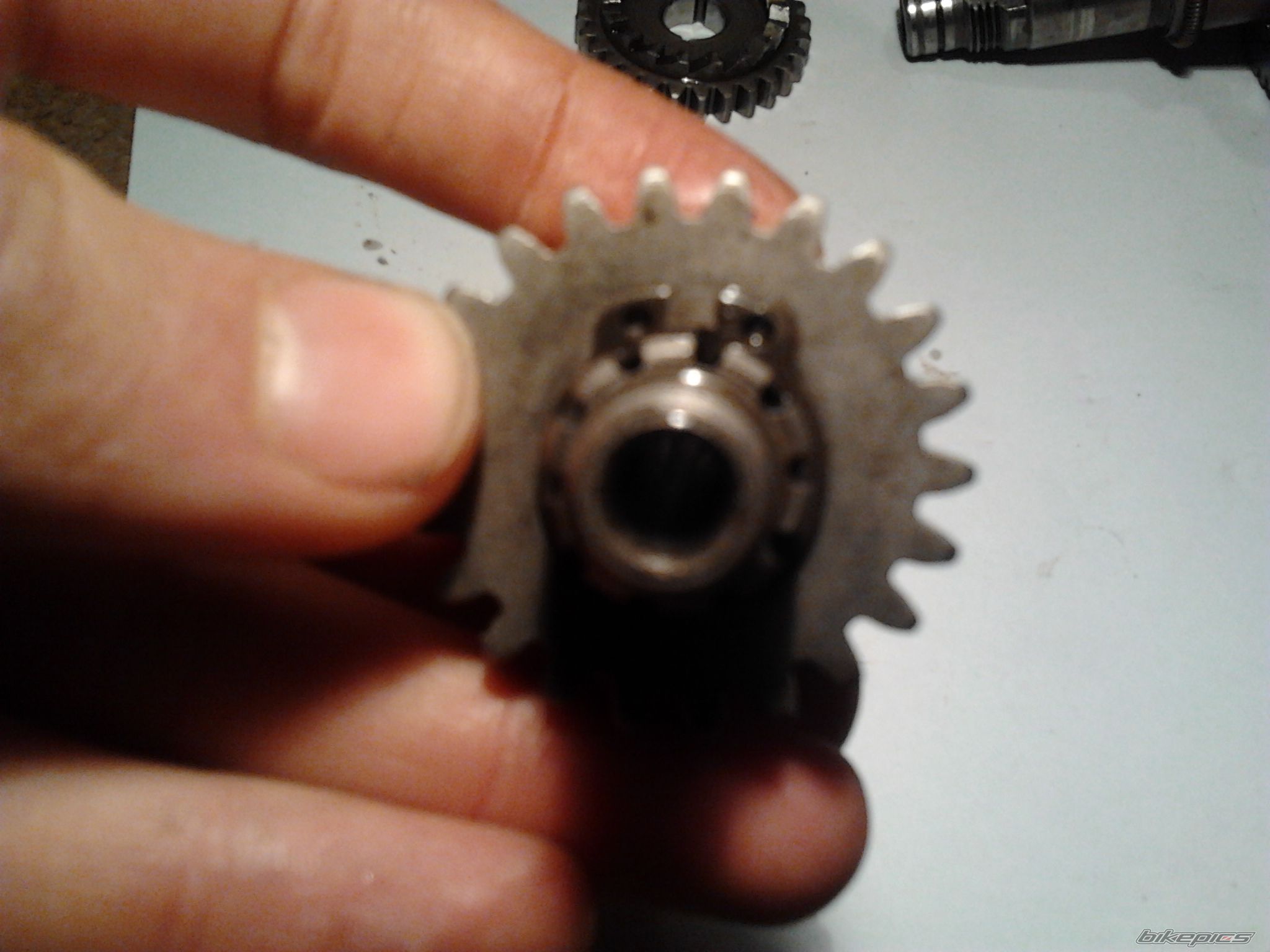 Photo 2525740