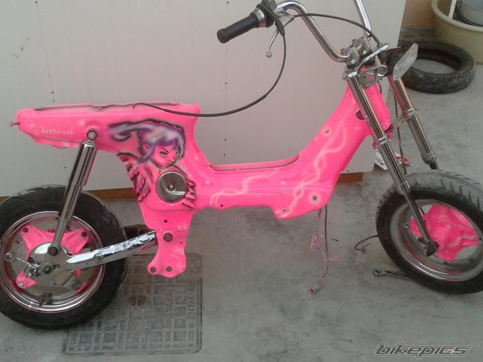 Photo 2525758