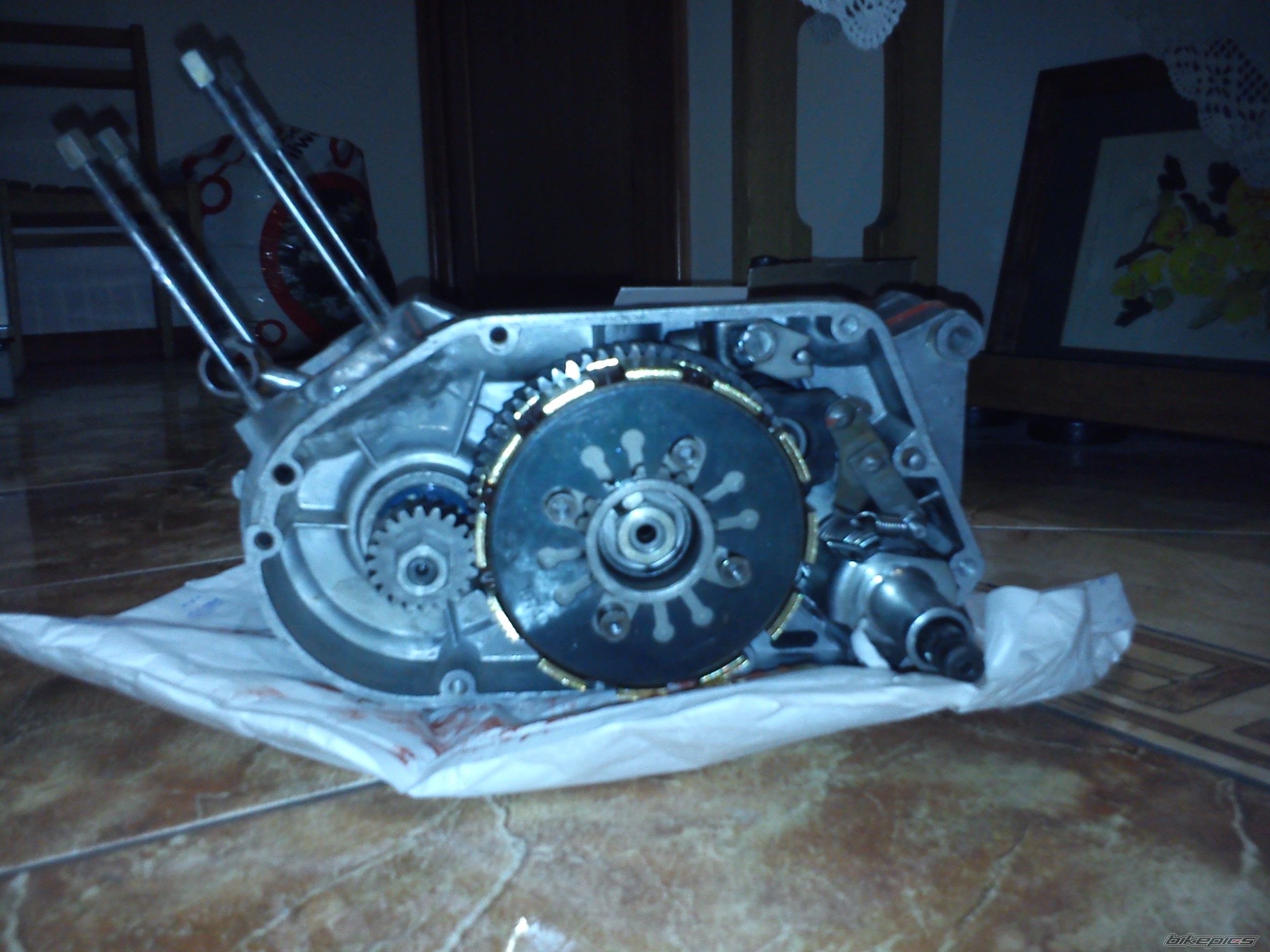 Photo 2525789