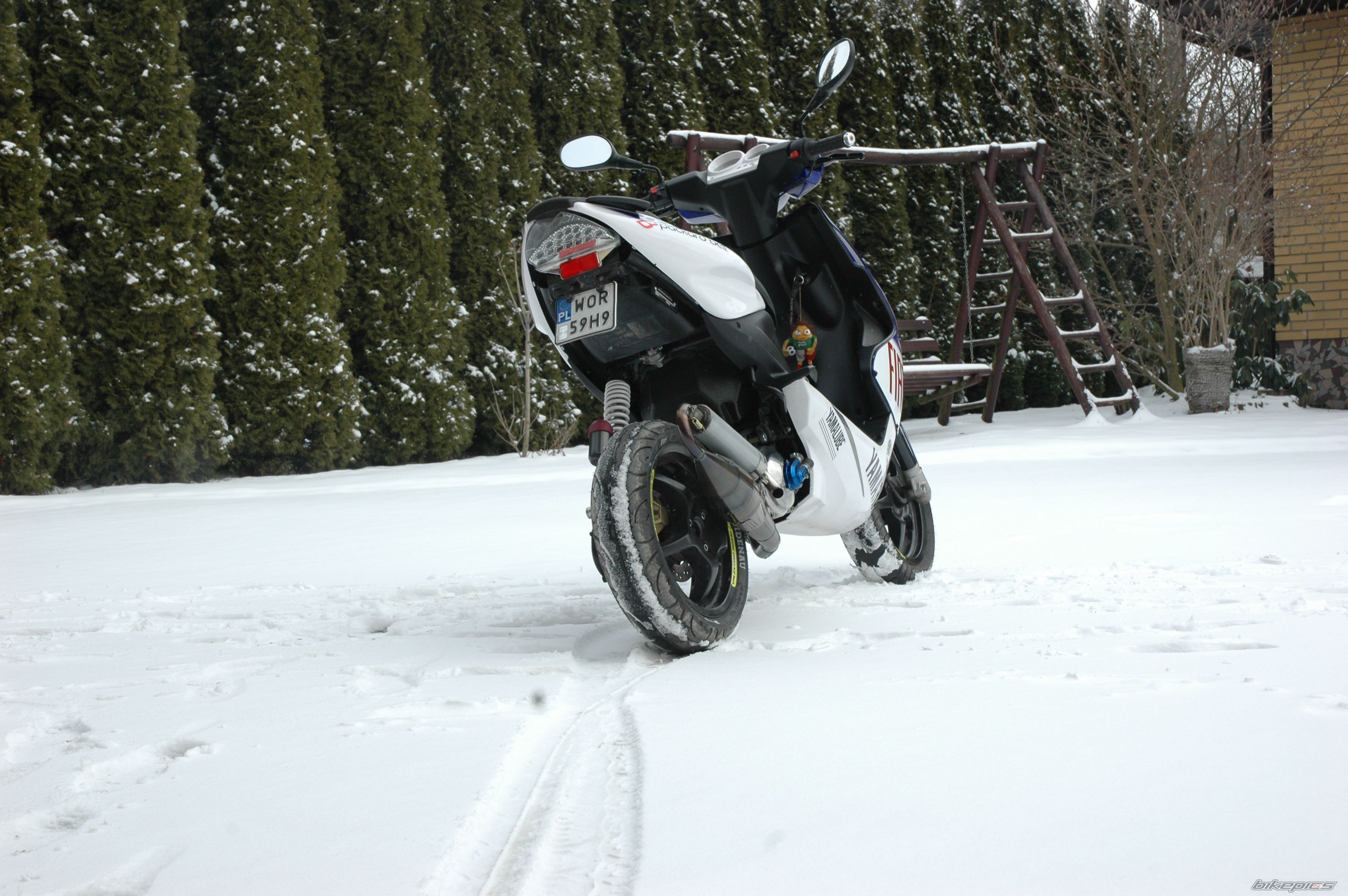 Photo 2525830