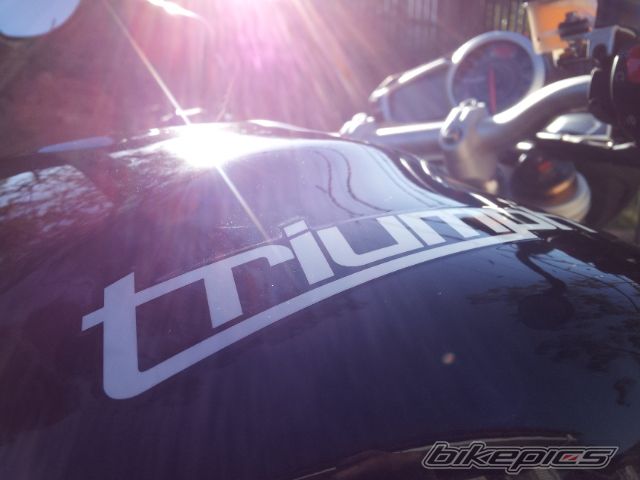 Photo 2525886