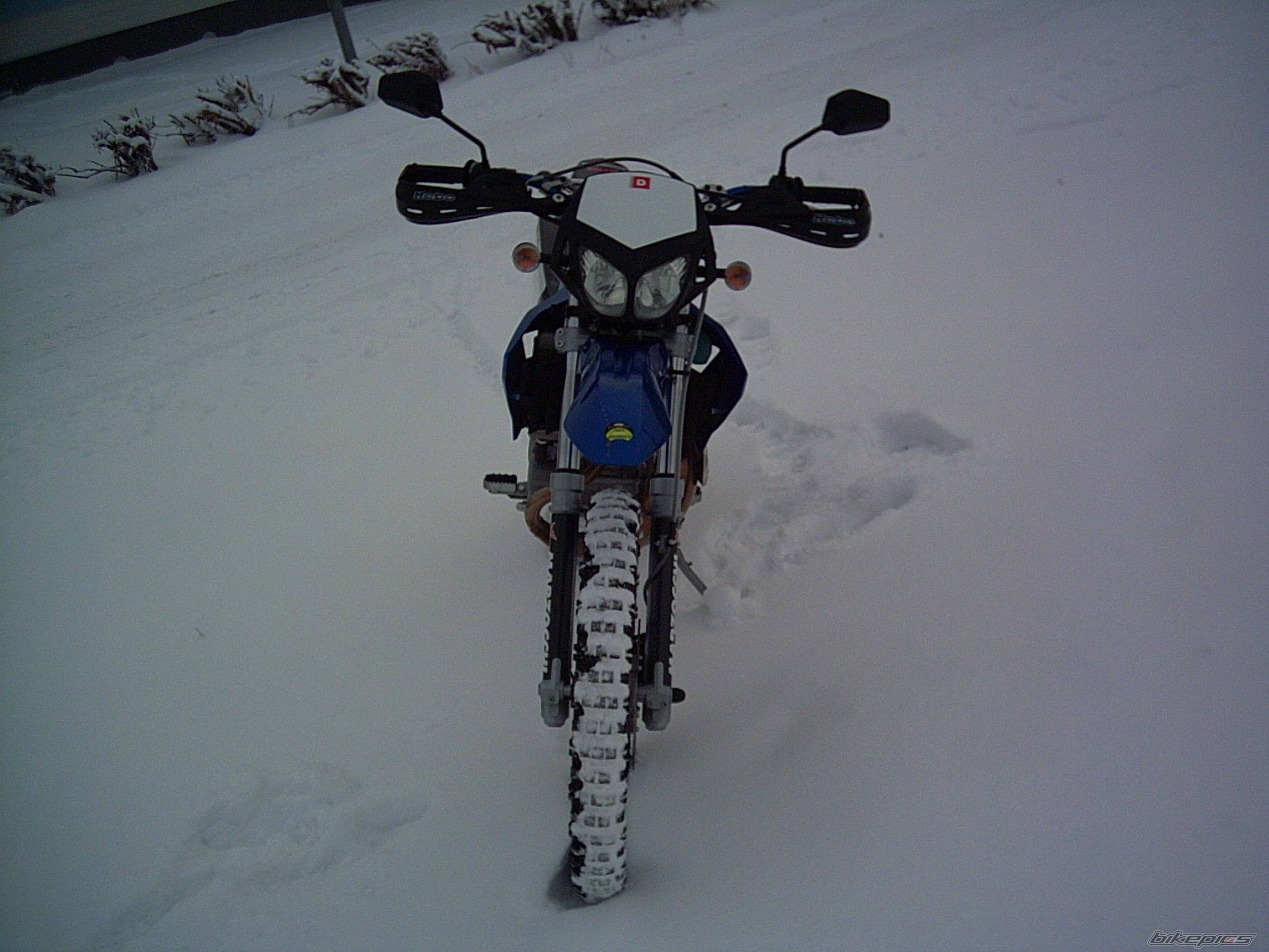 Photo 252590
