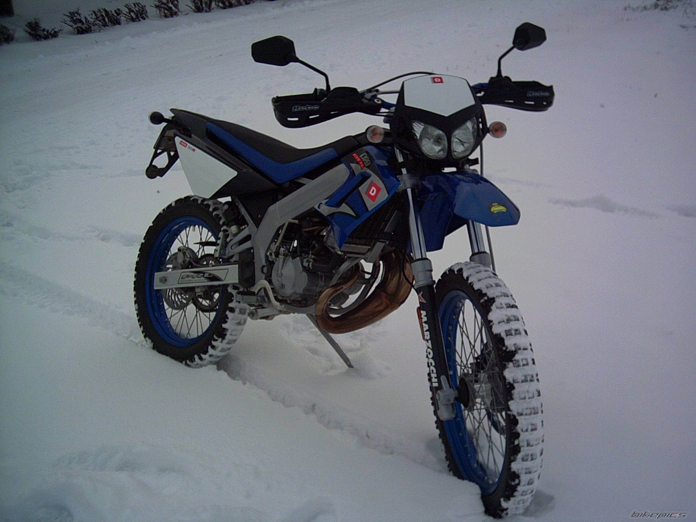 Photo 252593