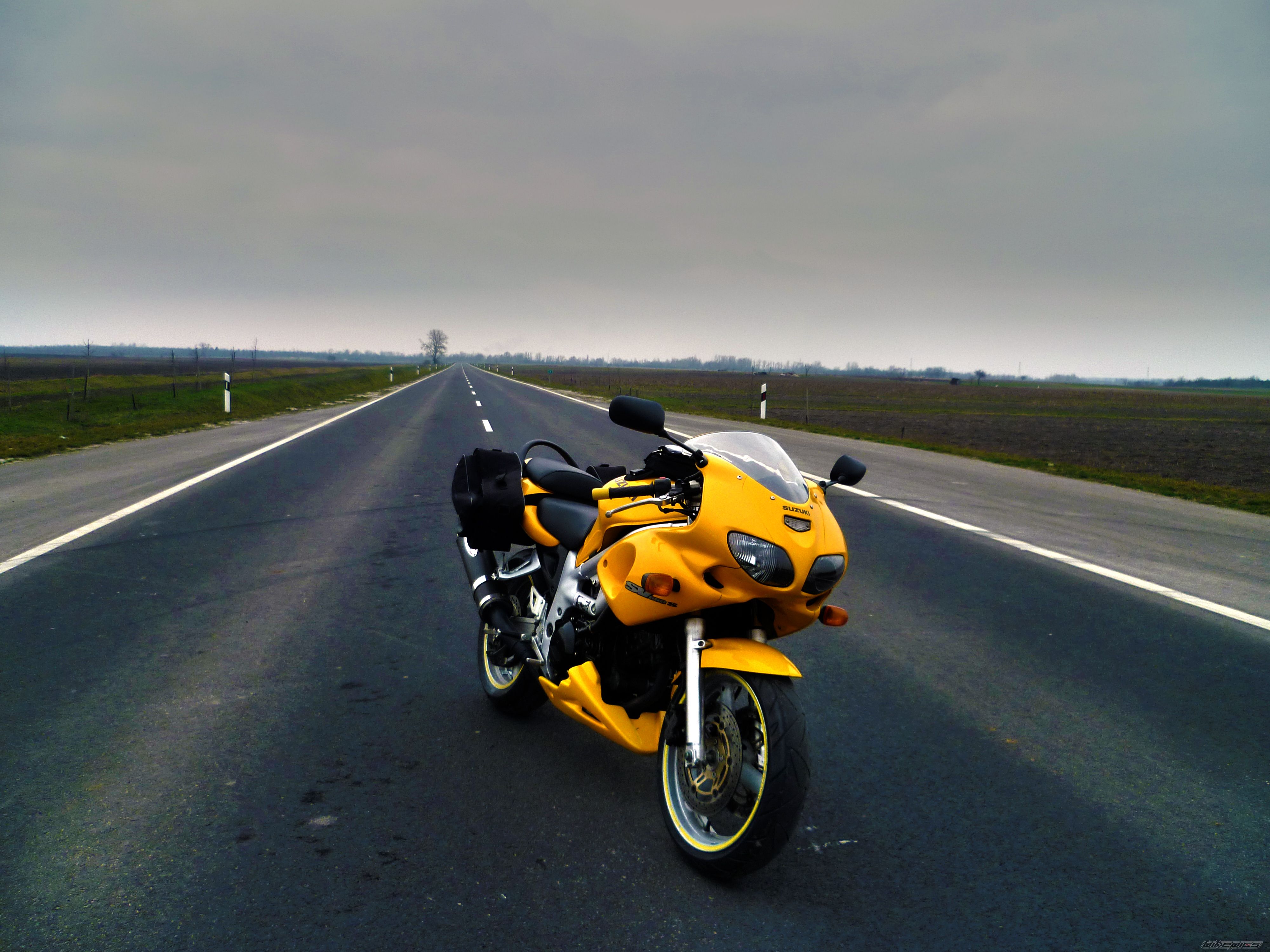 Photo 2526029