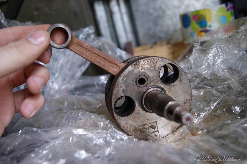 Photo 2526078