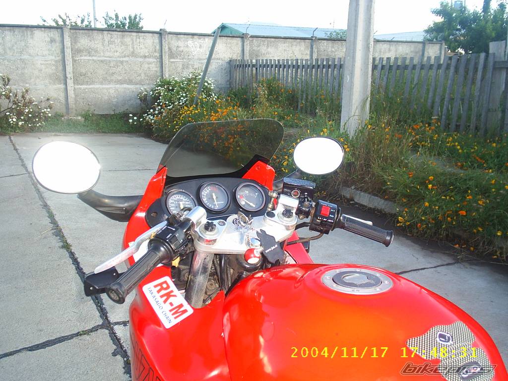 Photo 252608