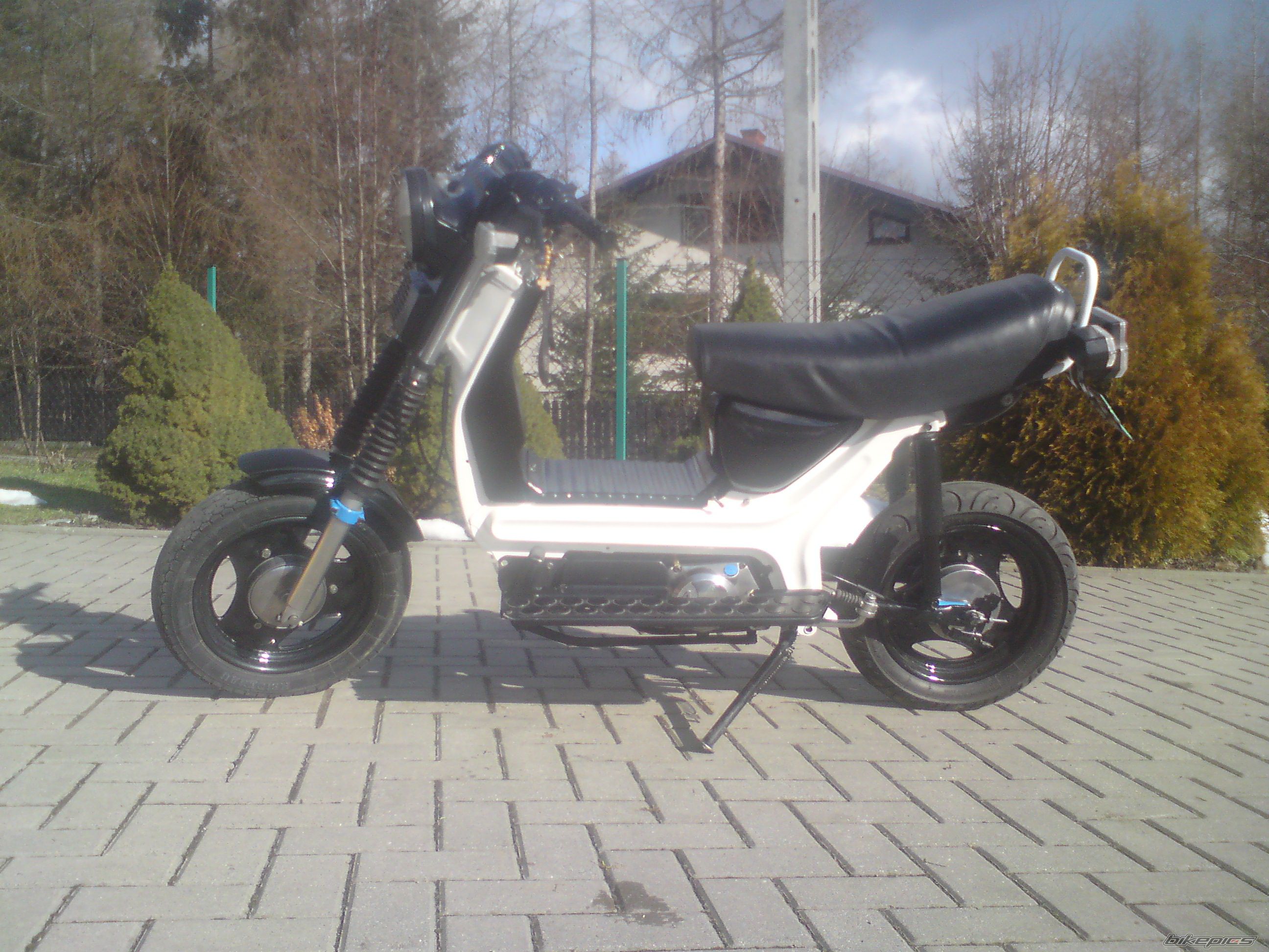 Photo 2526148