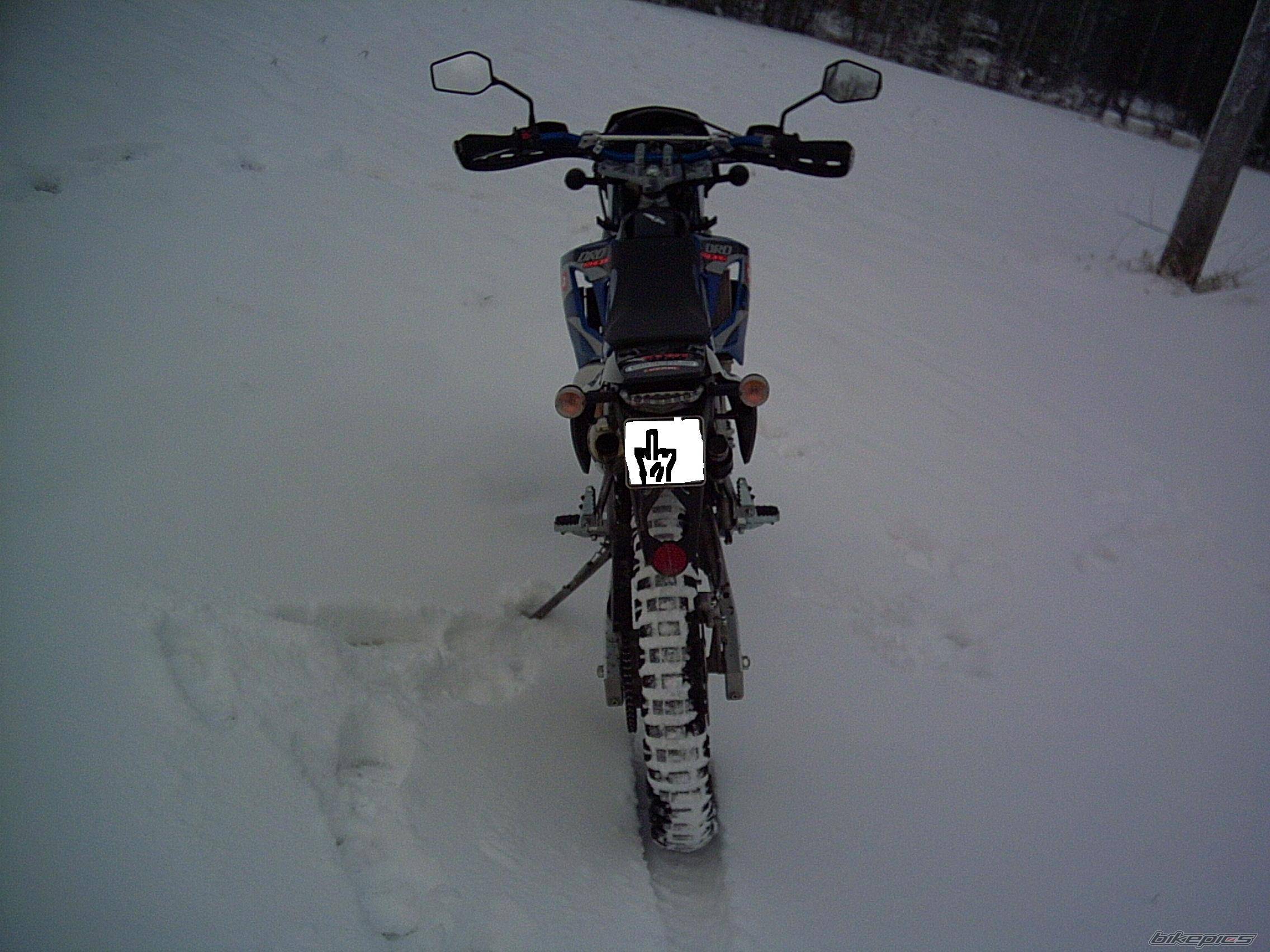 Photo 252619