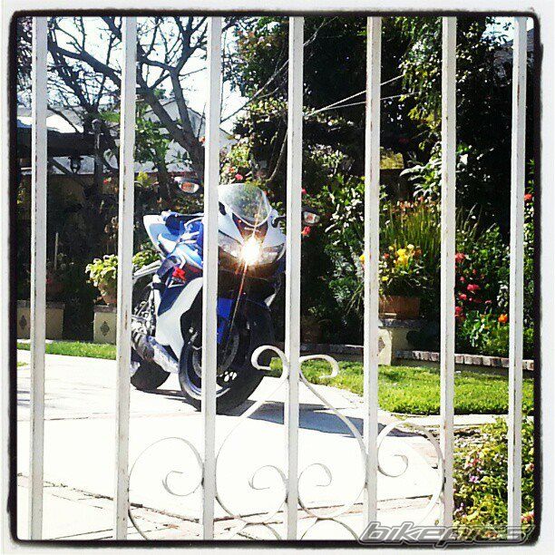 Photo 2526227