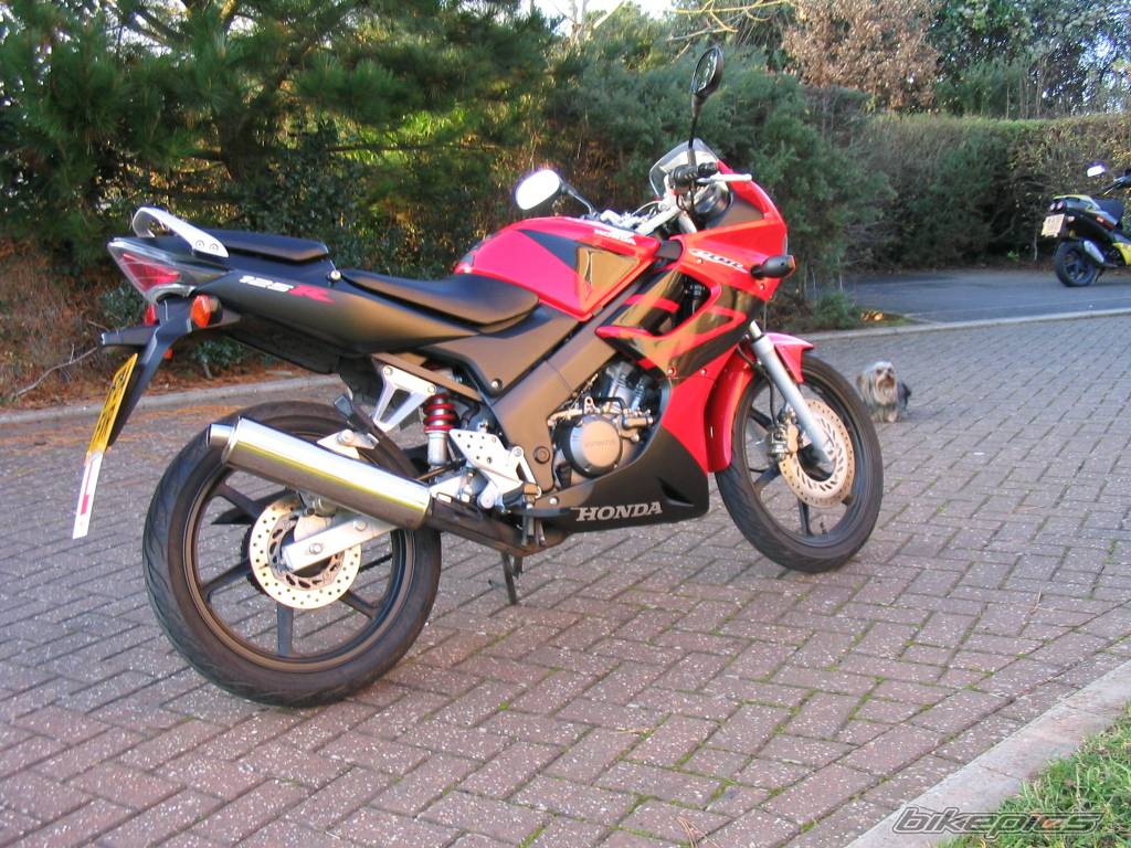 Photo 252657