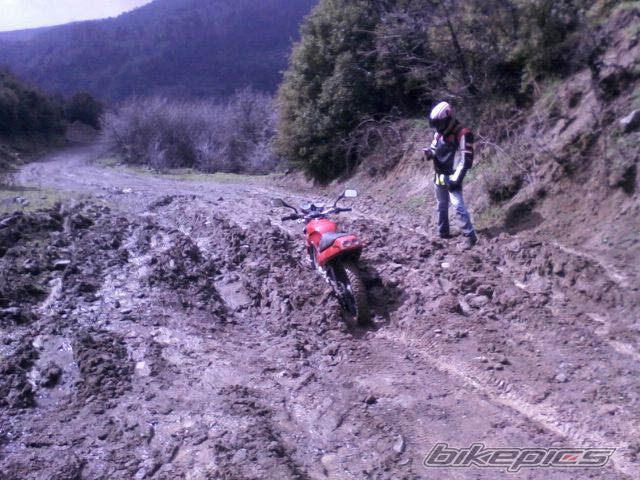 Bike Photo 2526597