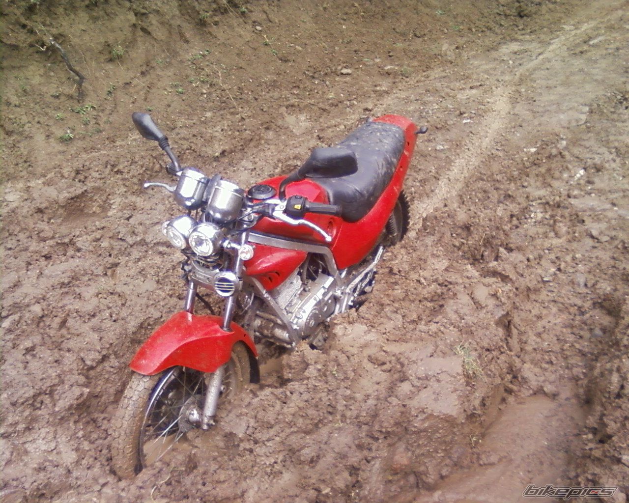Photo 2526616