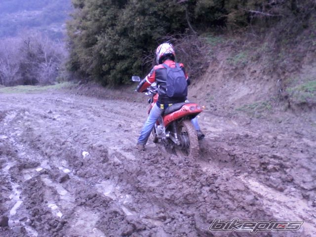 Photo 2526617