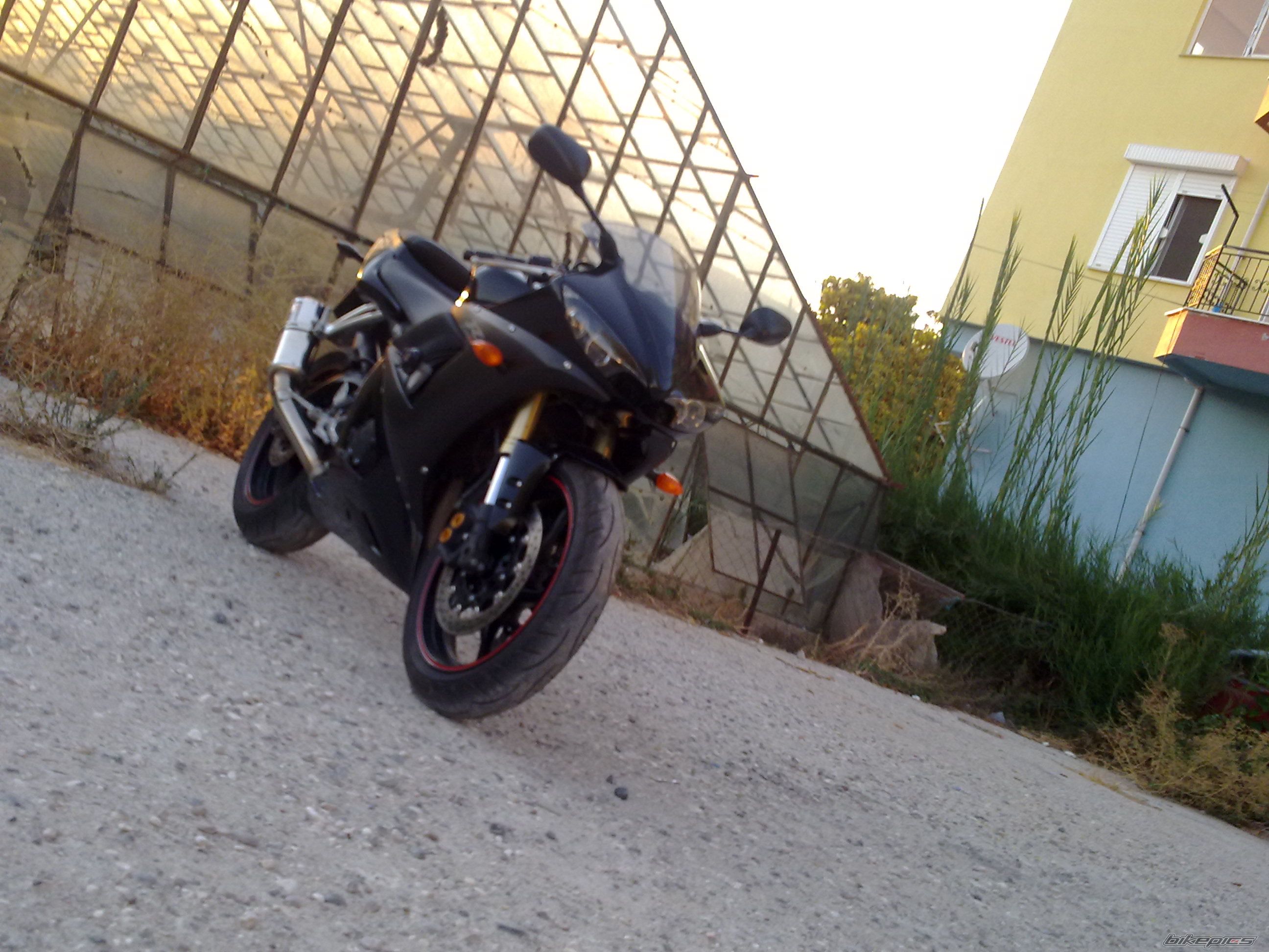 Photo 2526628