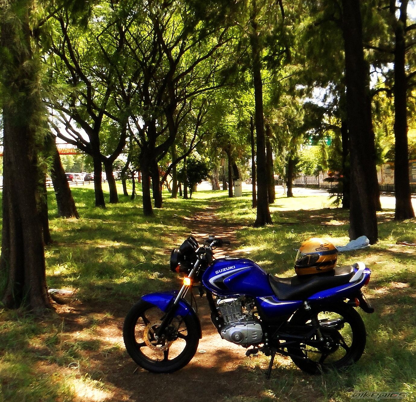 Photo 2526677