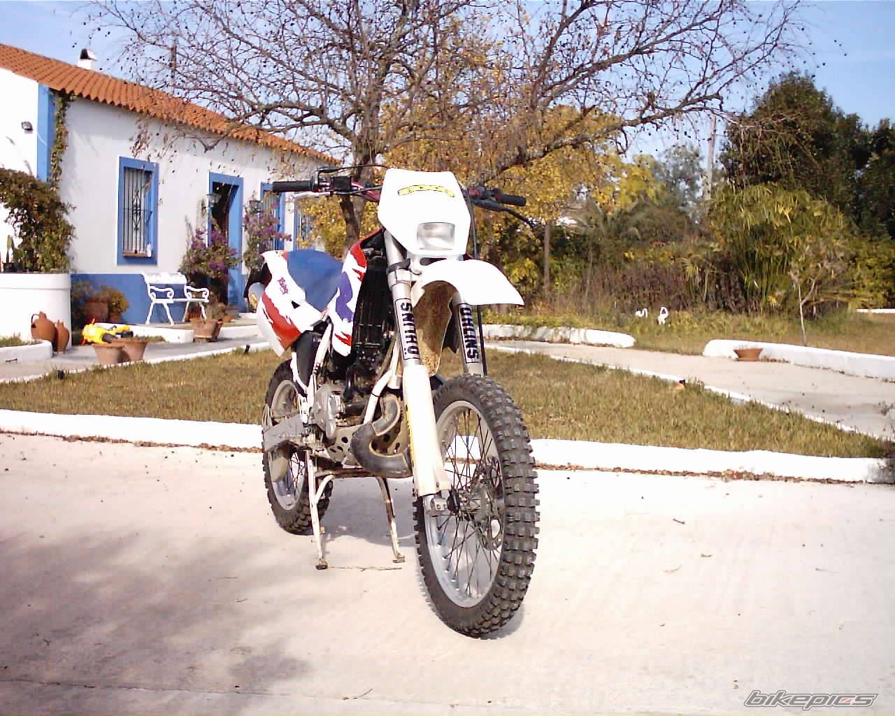 Photo 252670