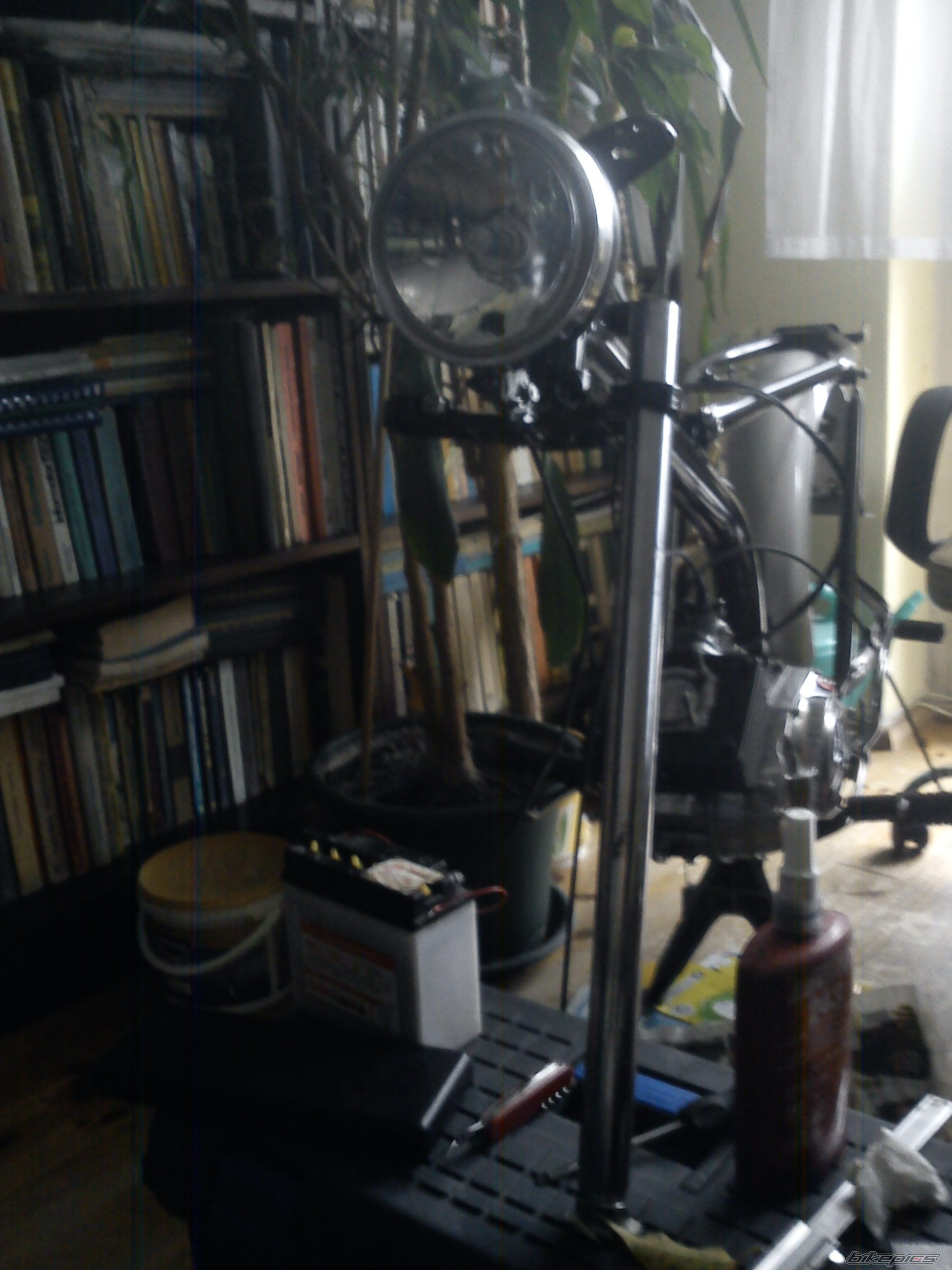 Photo 2526773