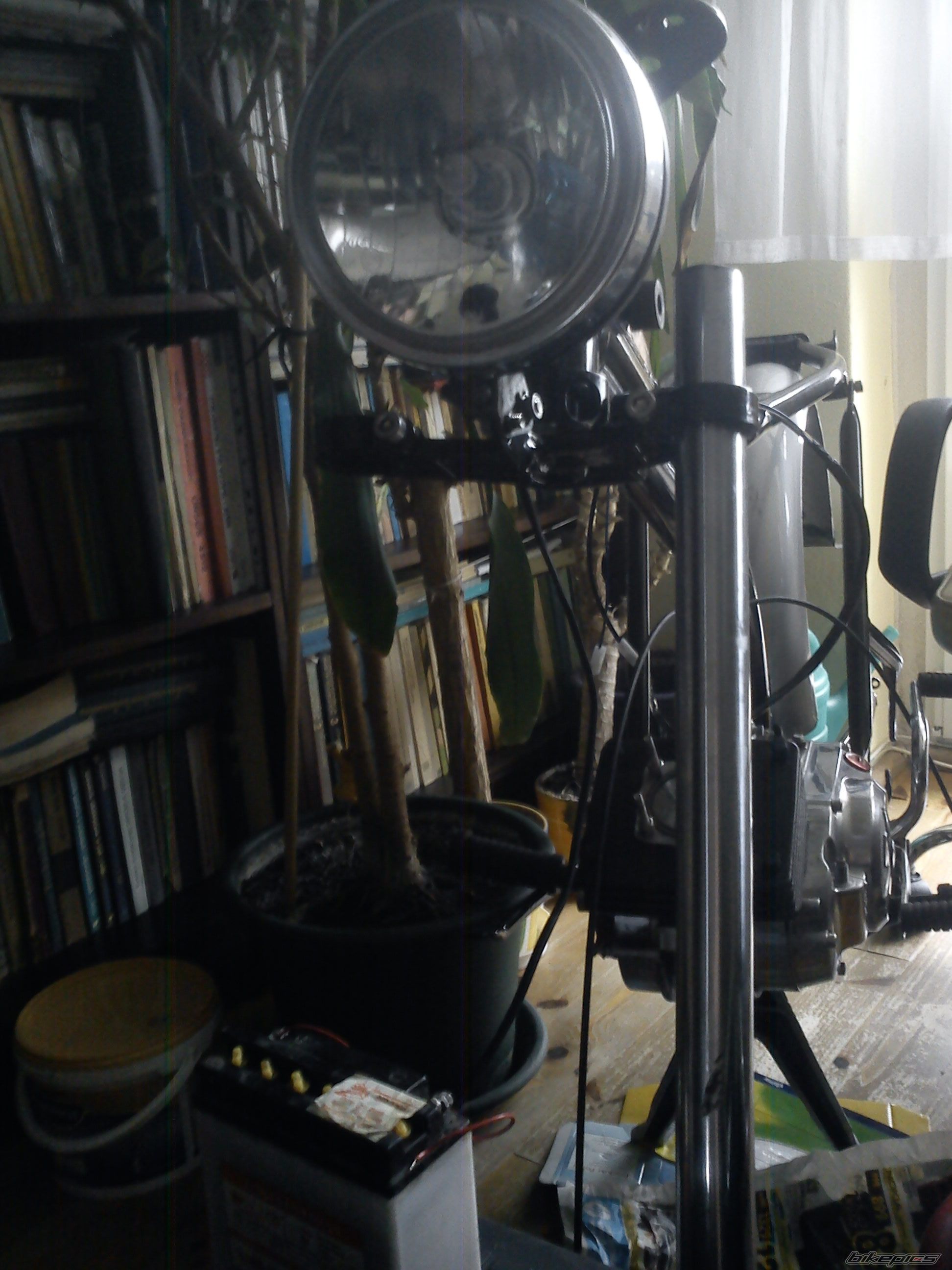 Photo 2526775