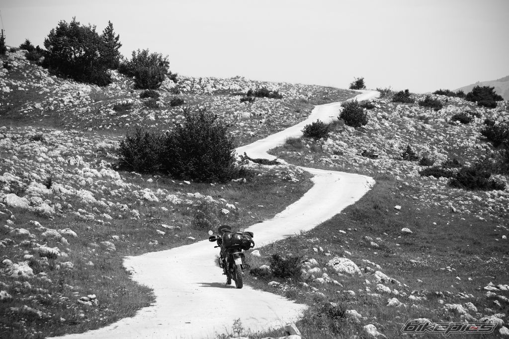 Photo 2526939