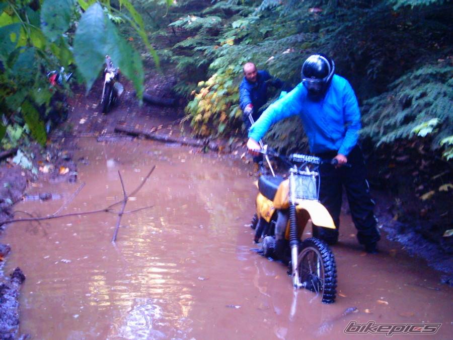 Photo 252698