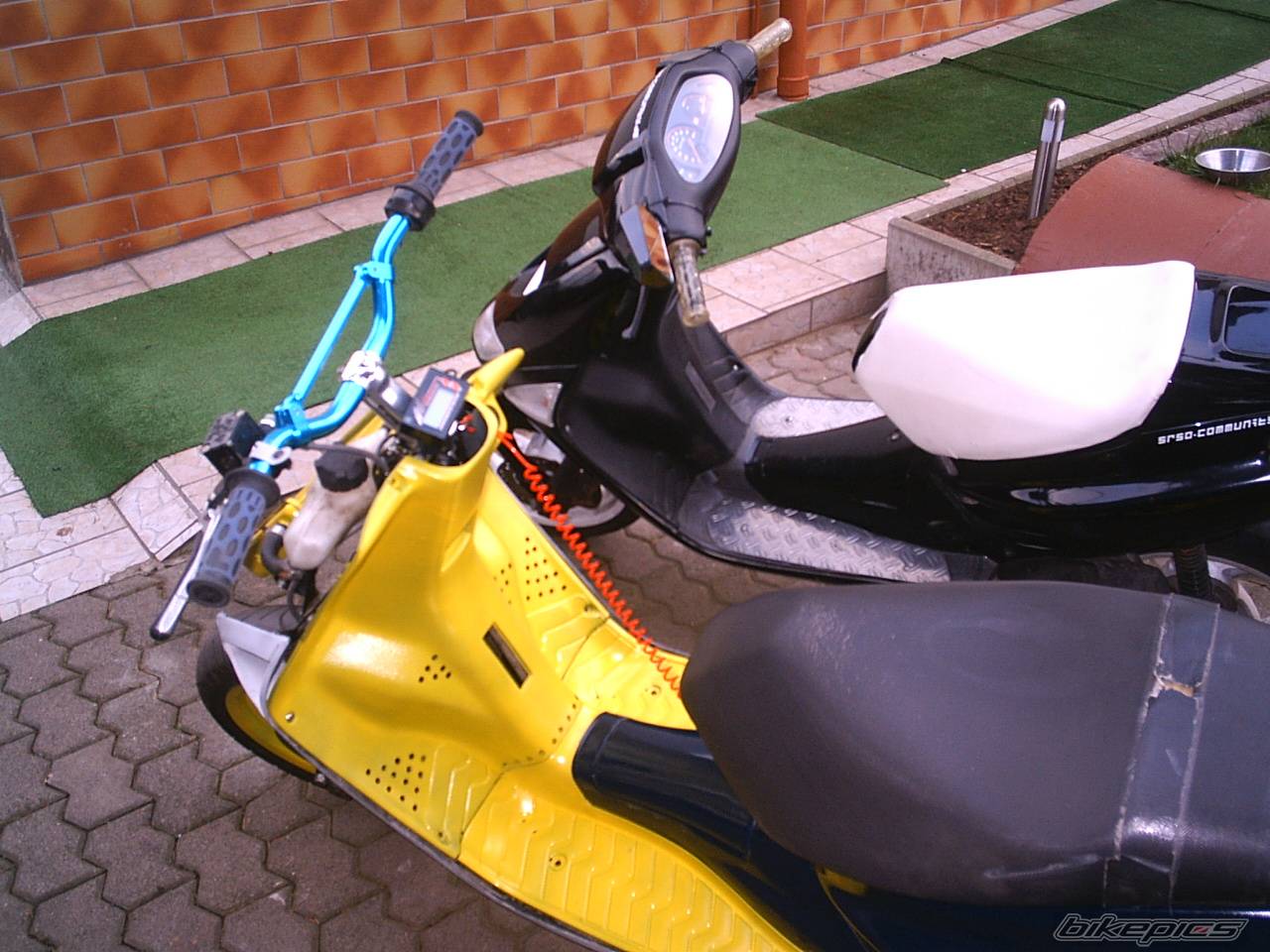 Photo 252700