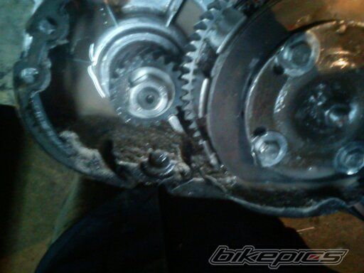 Photo 2527032