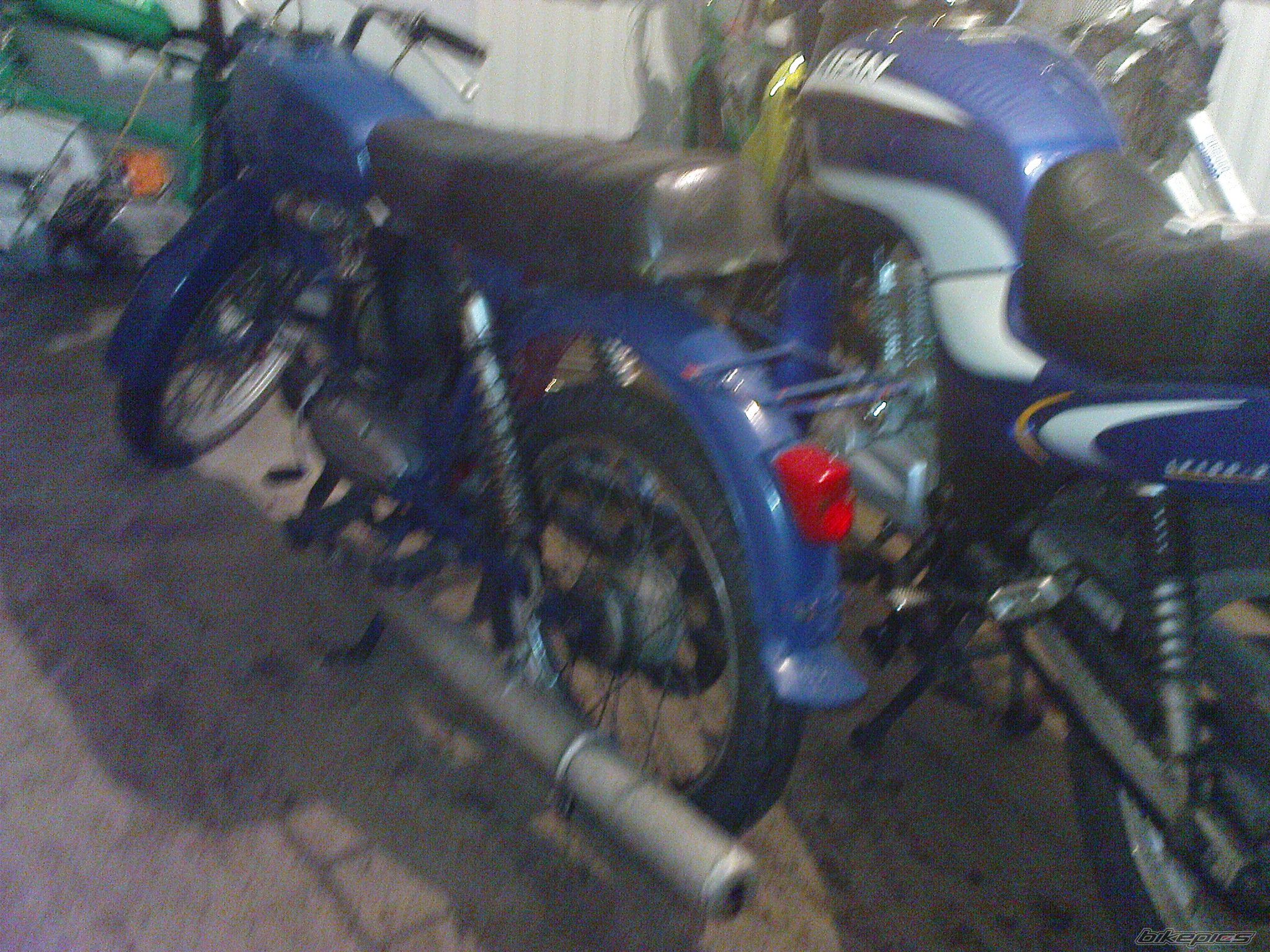 Photo 2527049