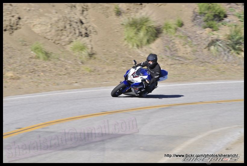 Photo 2527117
