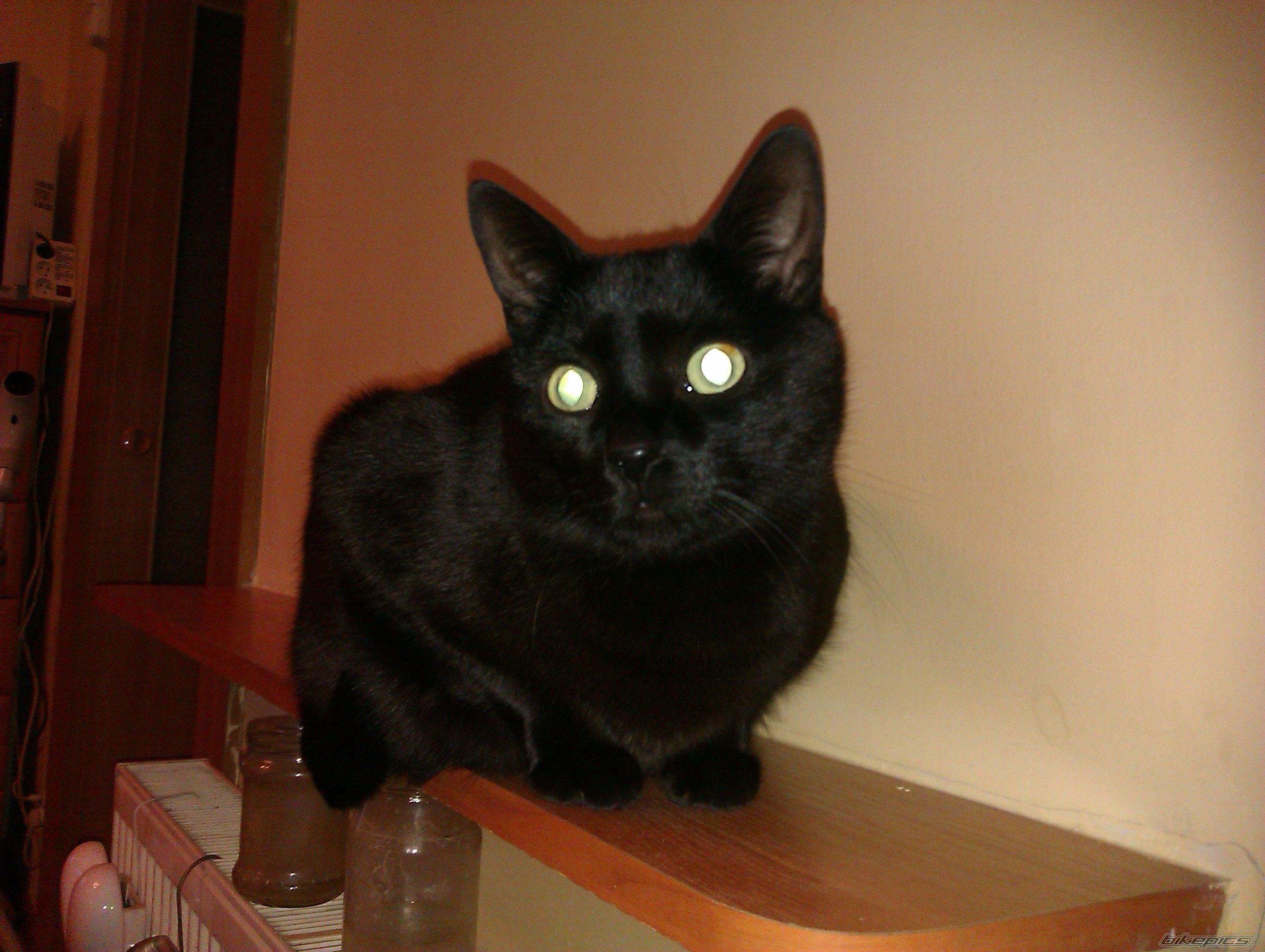 Photo 2527241