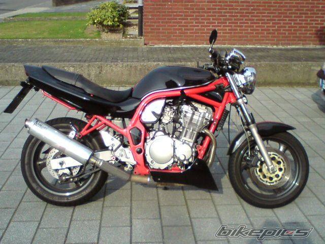 Photo 2527312