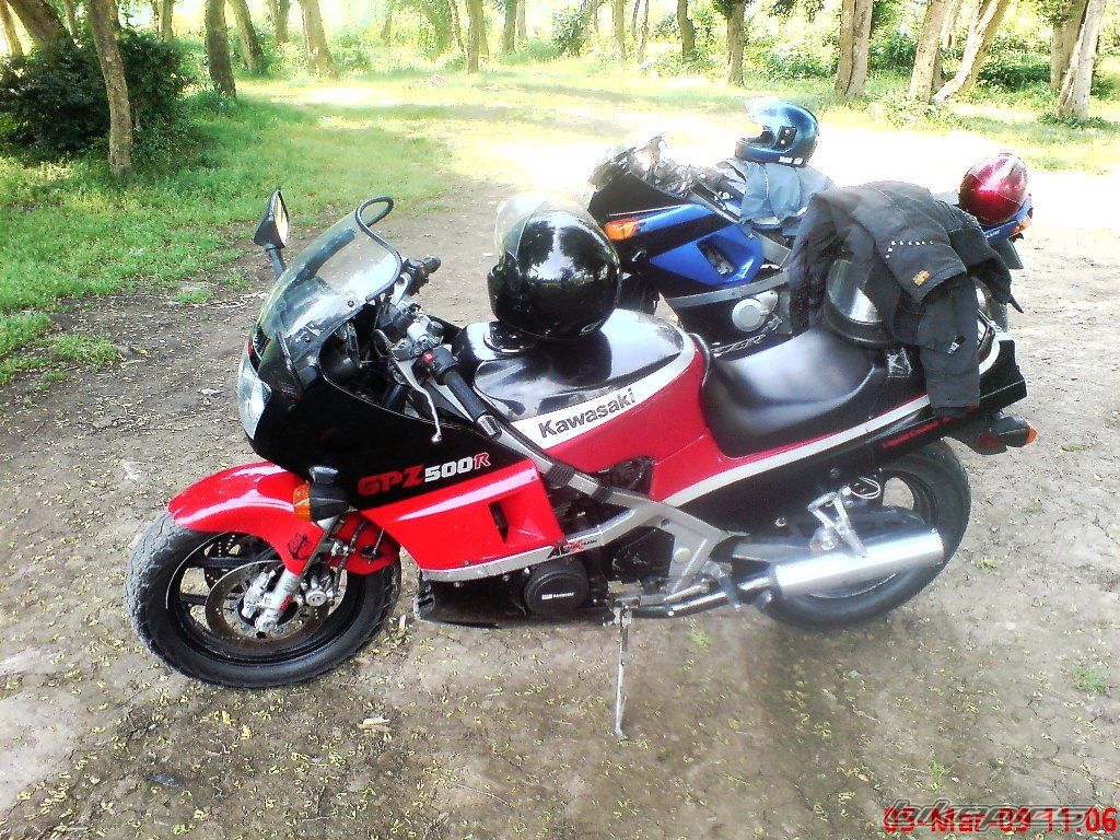 Photo 2527327