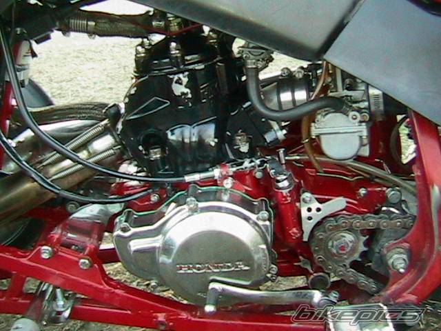 Photo 252733