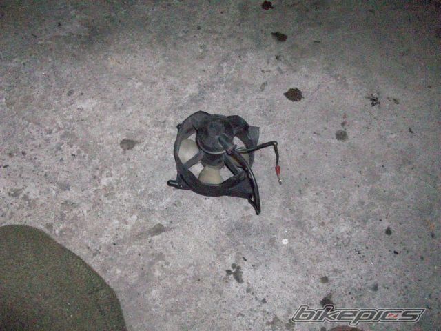 Photo 2527399