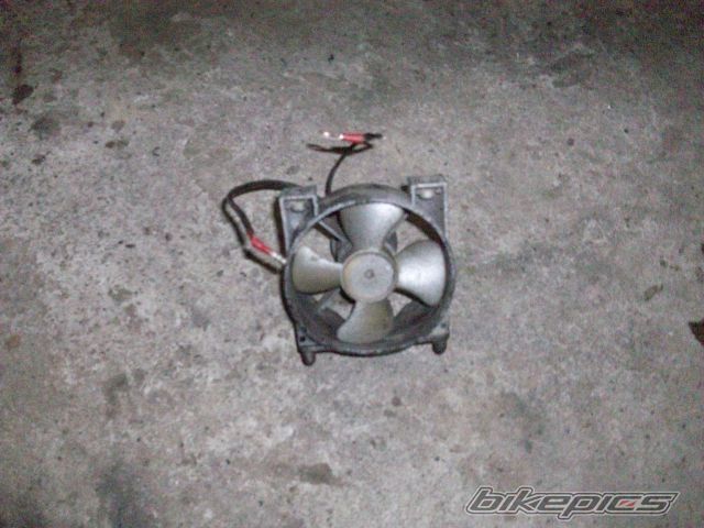 Photo 2527402