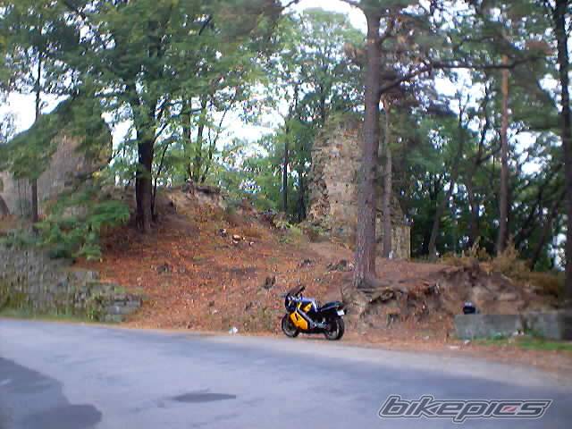 Photo 252742