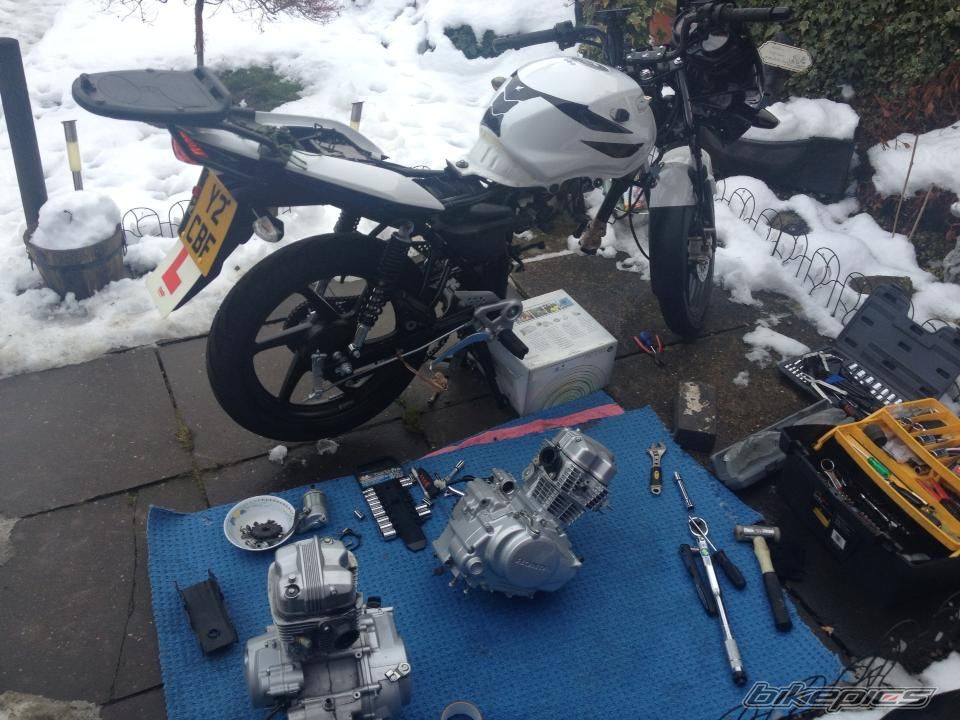 Photo 2527496